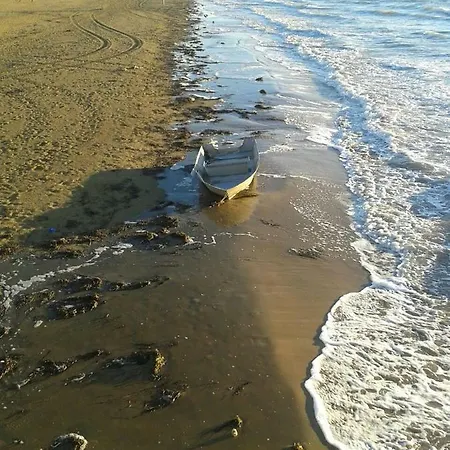 아파트 Al Mare